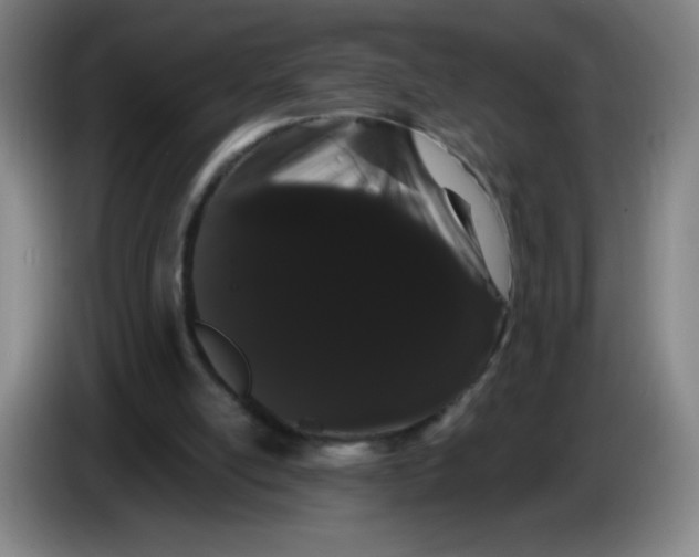 X0000085220054200703301712