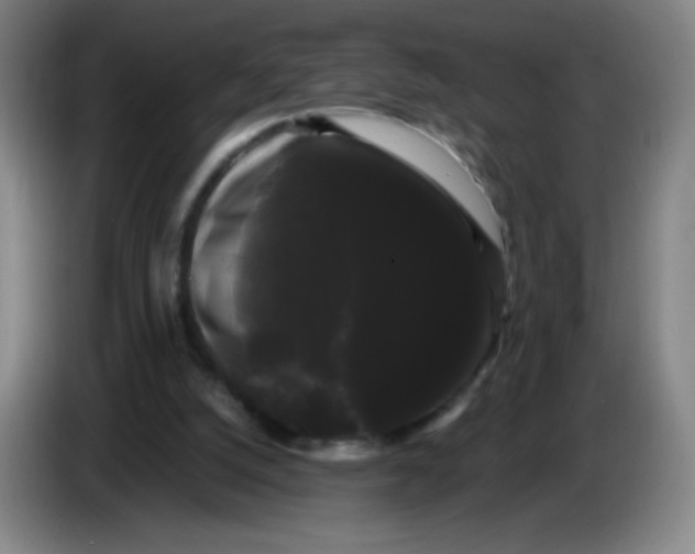 X0000085220056200703301712