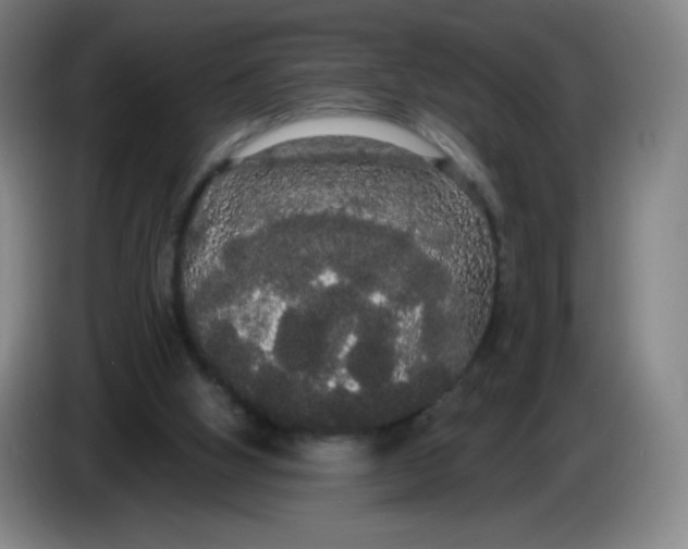 X0000085220058200703301712