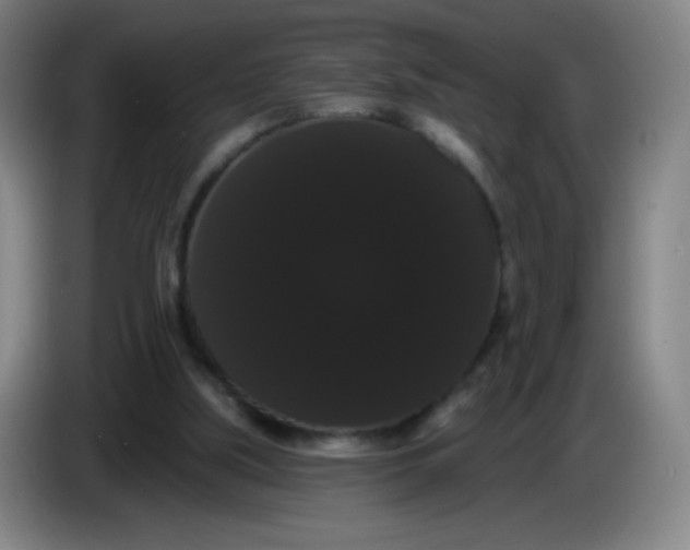 X0000085220059200703301712