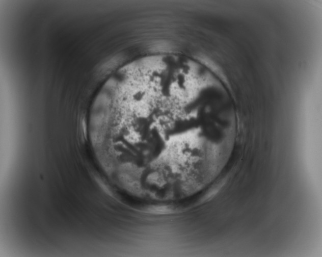 X0000085220061200703301712