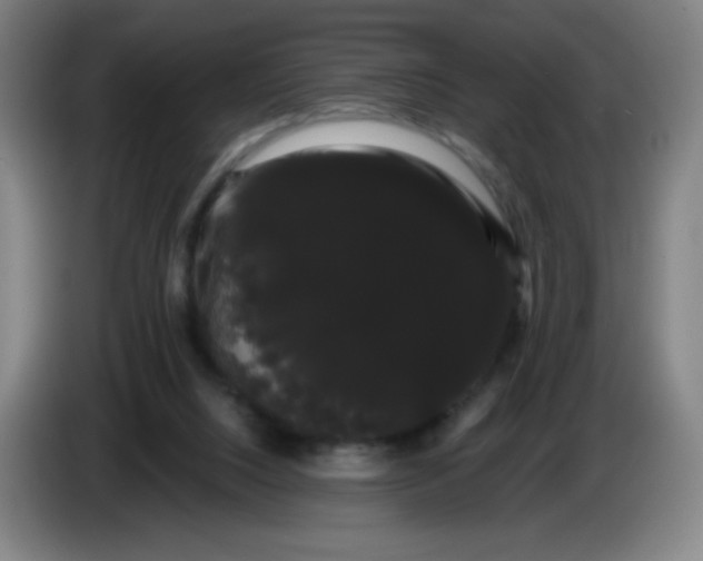 X0000085220064200703301712