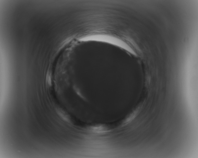 X0000085220068200703301712