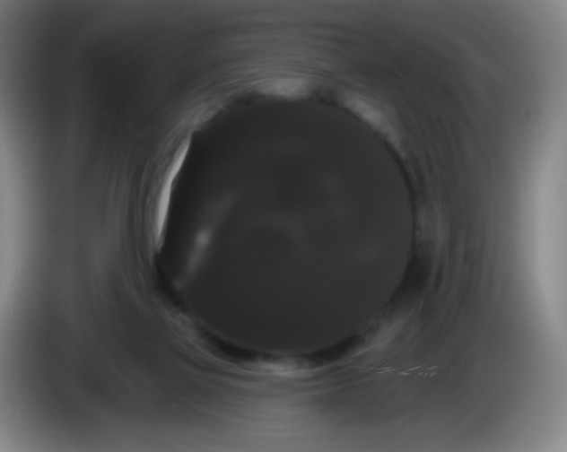 X0000085220069200703301712