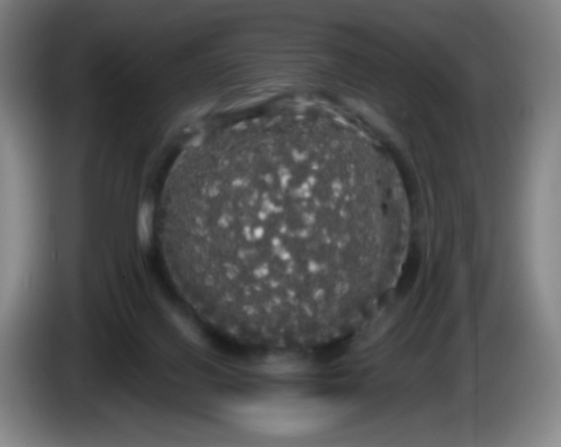X0000085220070200703301712