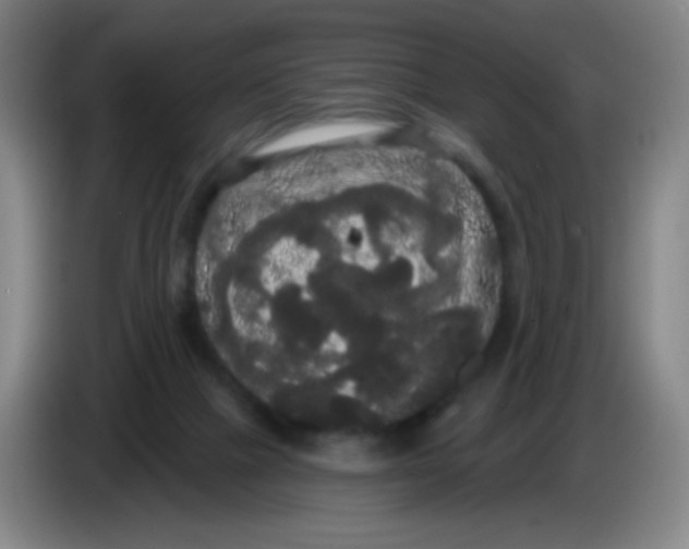 X0000085220073200703301712