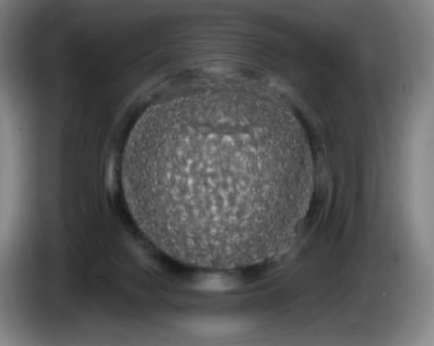 X0000085220074200703301712