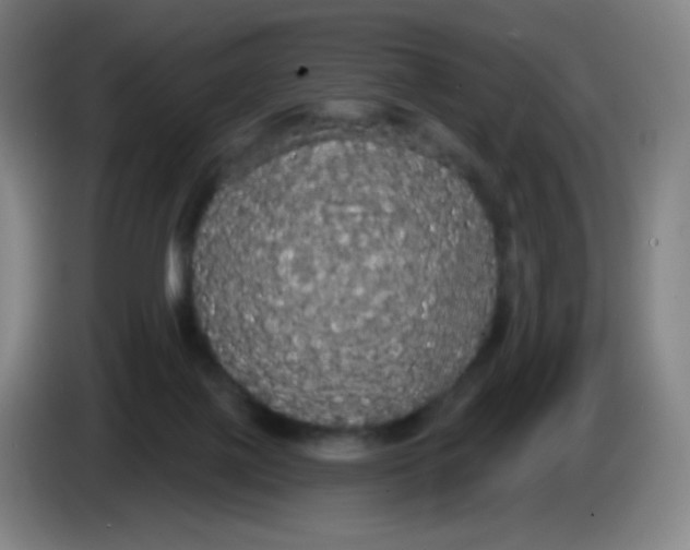 X0000085220075200703301712
