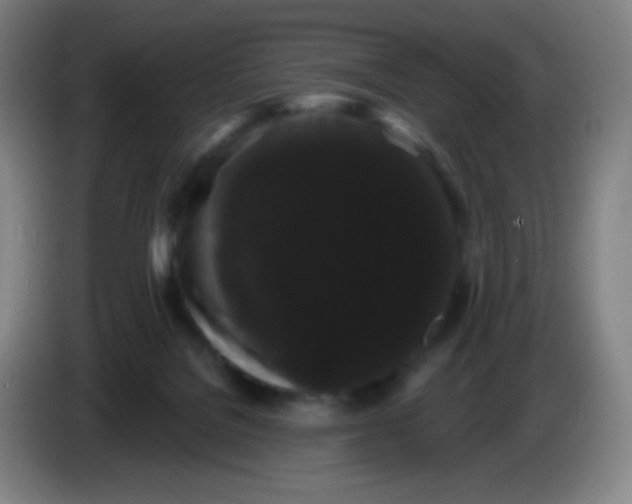 X0000085220076200703301712