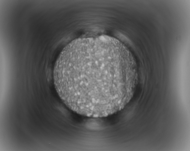 X0000085220077200703301712
