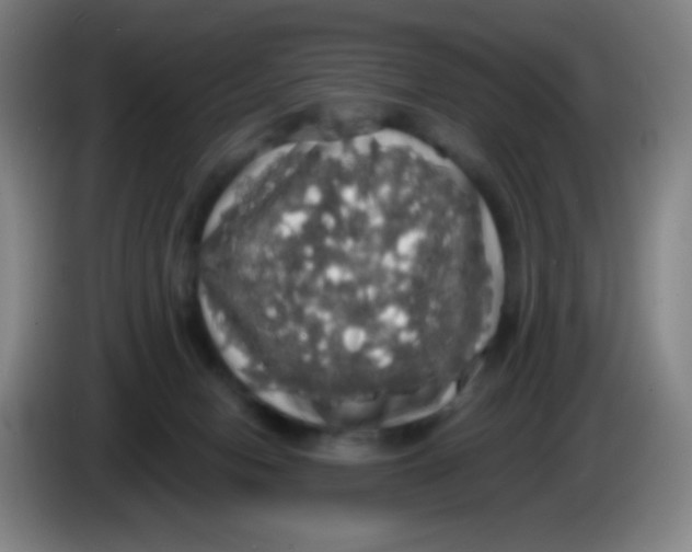 X0000085220078200703301712