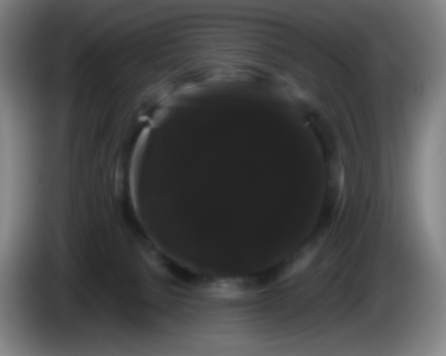 X0000085220080200703301712