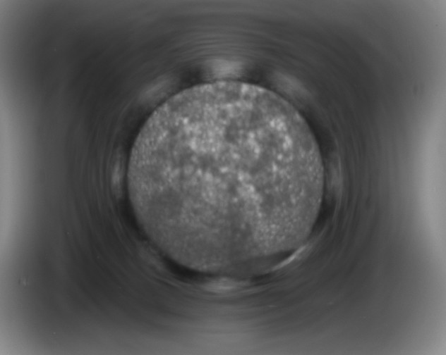 X0000085220082200703301712