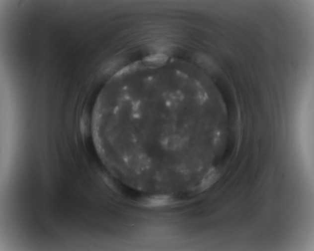 X0000085220090200703301713