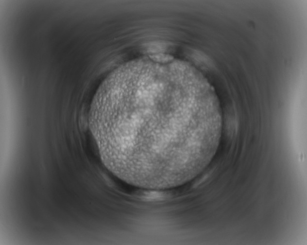 X0000085220091200703301713