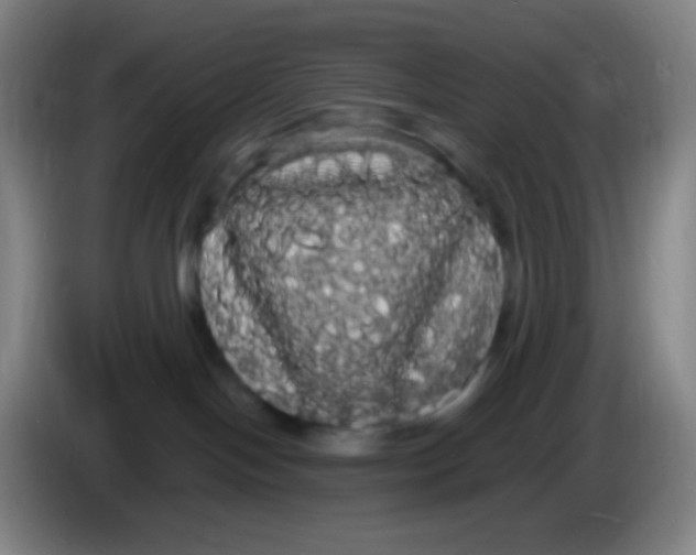 X0000085220094200703301713