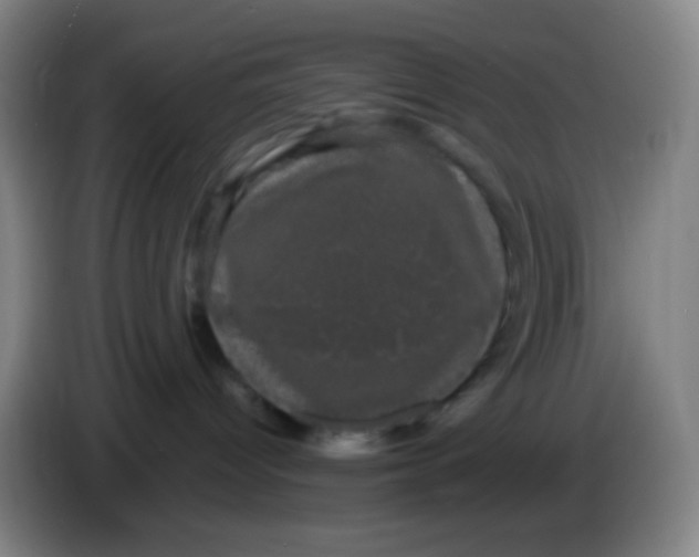 X0000085220096200703301713