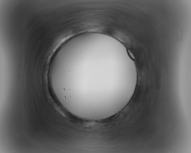 X0000085220098200703301712