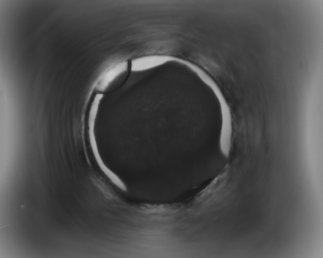 X0000085220100200703301712