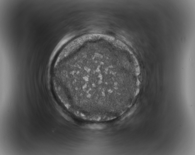 X0000085220102200703301712
