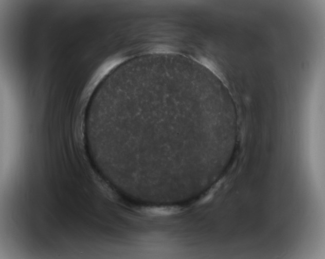 X0000085220103200703301712