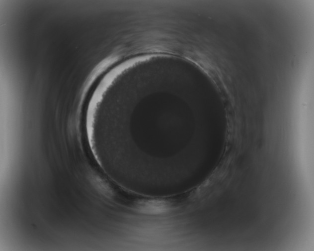 X0000085220104200703301712