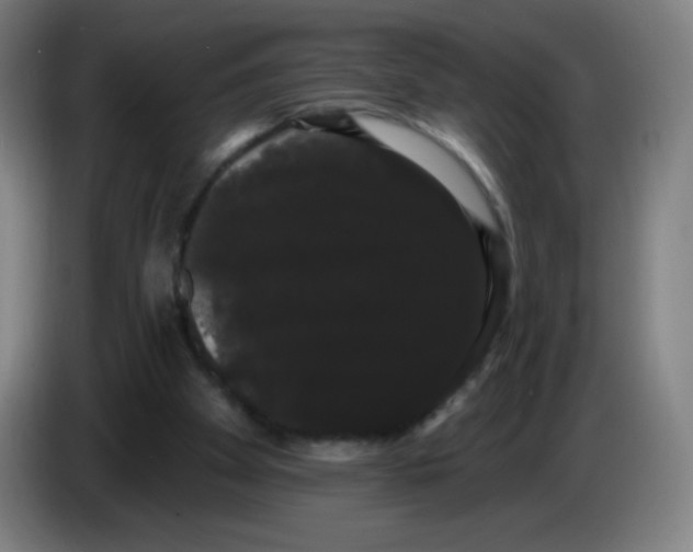 X0000085220105200703301712