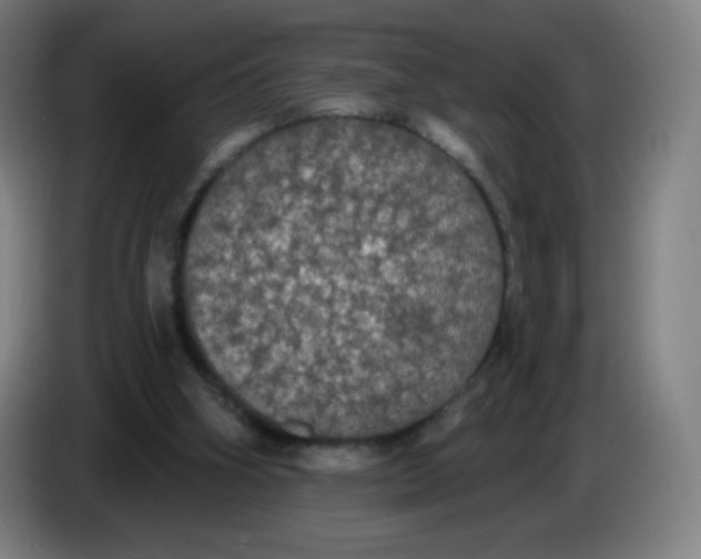 X0000085220106200703301712