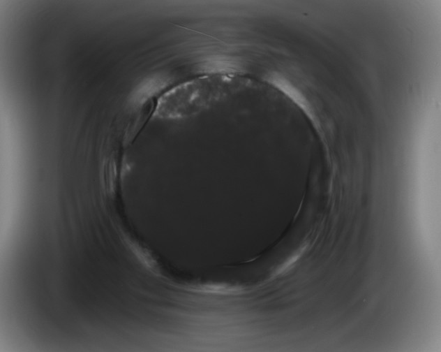 X0000085220109200703301712