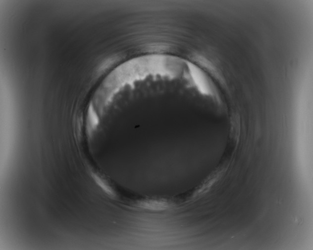 X0000085220110200703301712