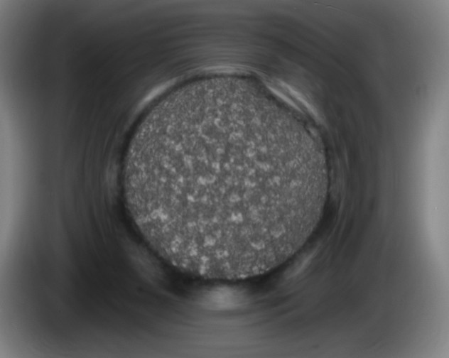 X0000085220111200703301712