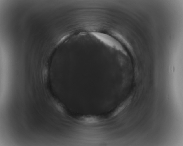 X0000085220113200703301712