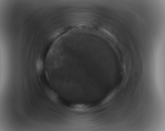 X0000085220117200703301712