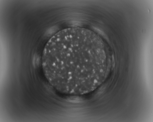 X0000085220123200703301712