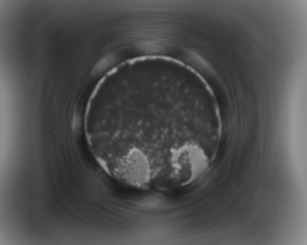 X0000085220124200703301712