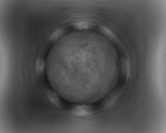 X0000085220125200703301712