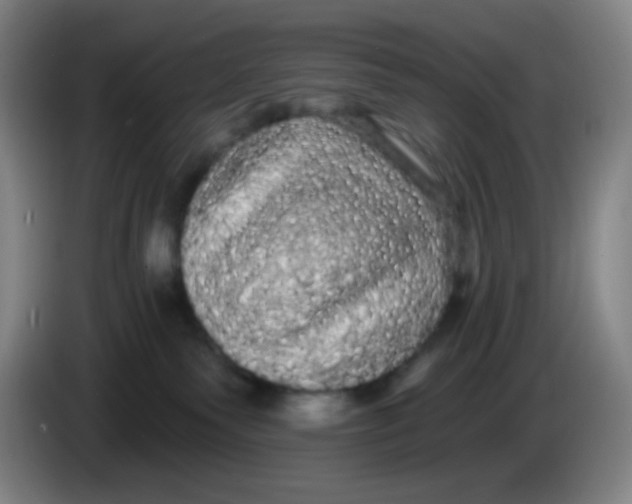 X0000085220135200703301711