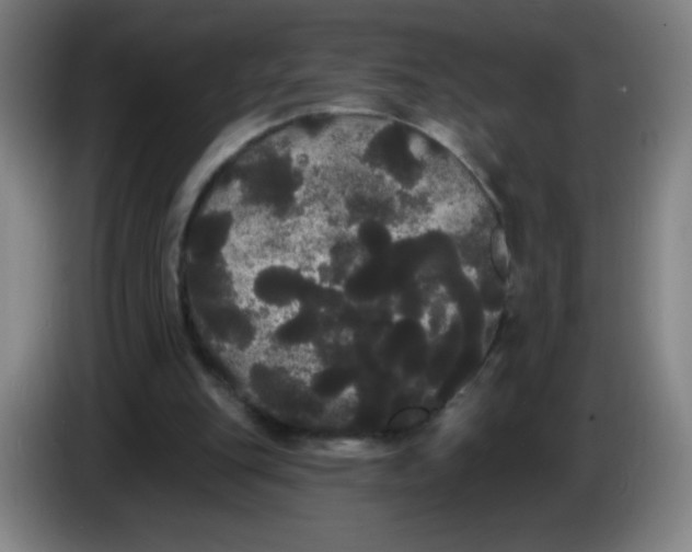 X0000085220151200703301711