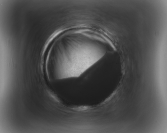 X0000085220152200703301711