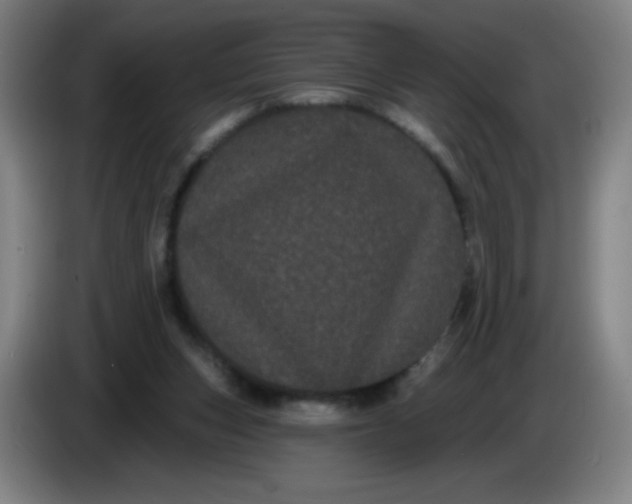 X0000085220159200703301711