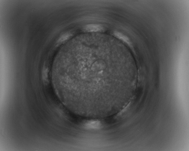 X0000085220162200703301711