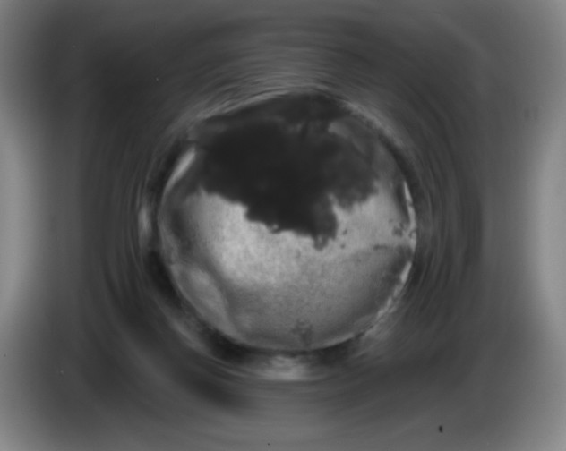 X0000085220166200703301711