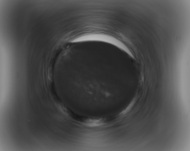 X0000085220170200703301711