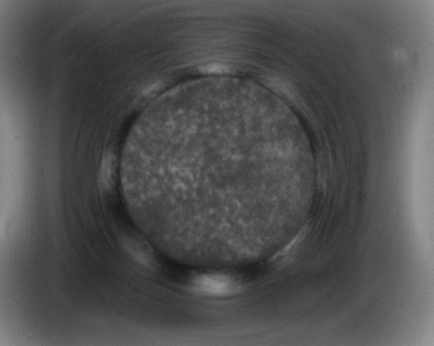 X0000085220171200703301711