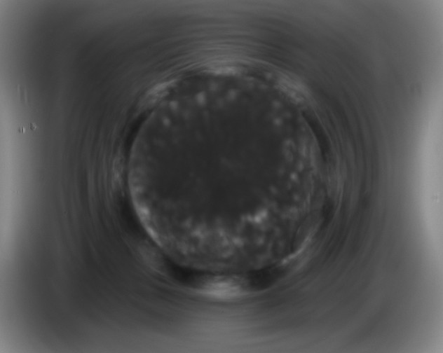 X0000085220175200703301711