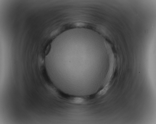 X0000085220176200703301711