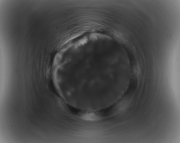 X0000085220177200703301711