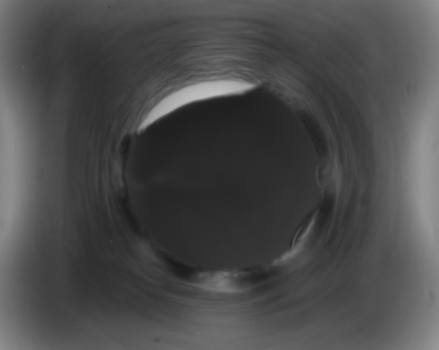 X0000085220182200703301711