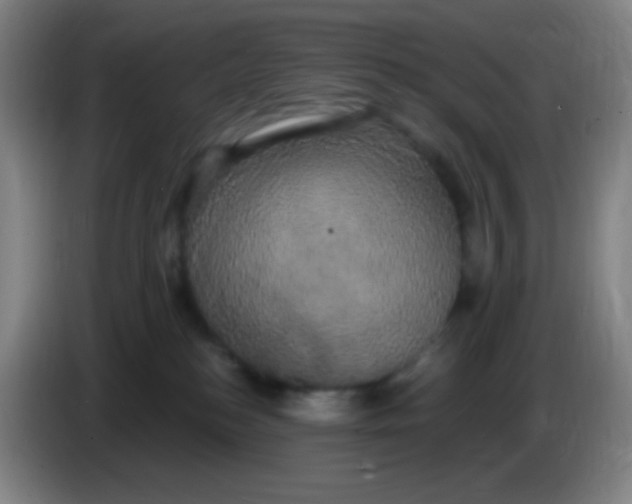 X0000085220184200703301711