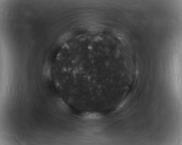 X0000085220185200703301711